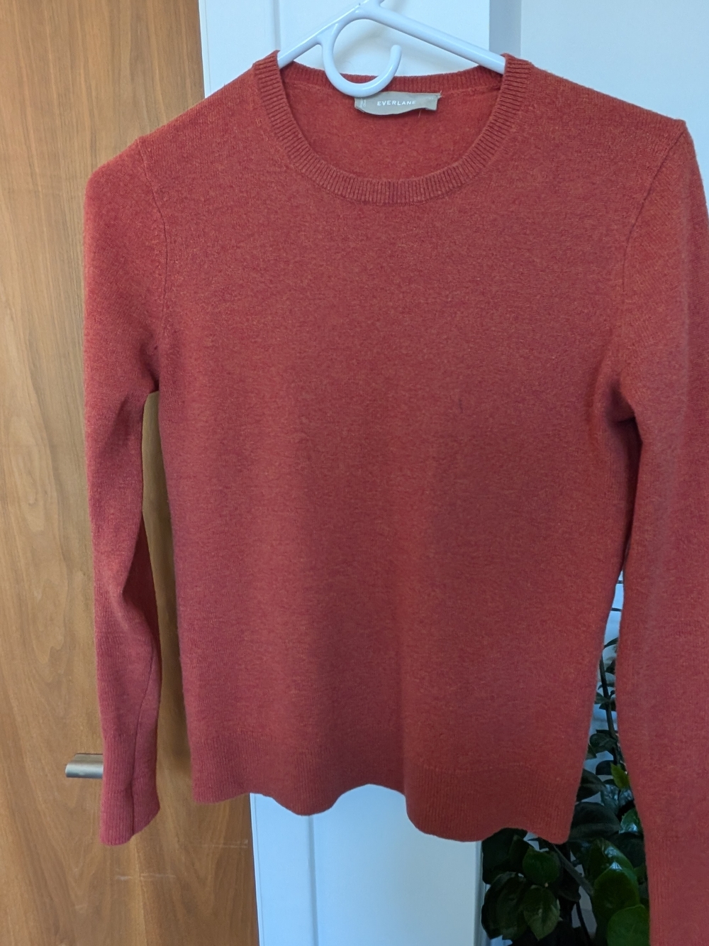 Everlane Women’s Cashmere Crewneck Sweater in Rust